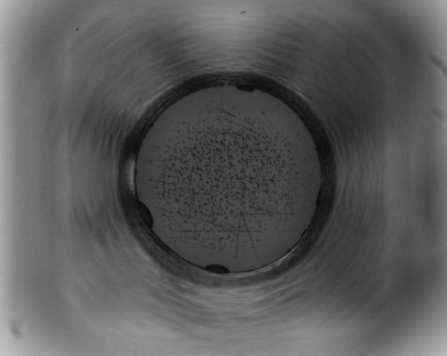 X0000099950047200806131457