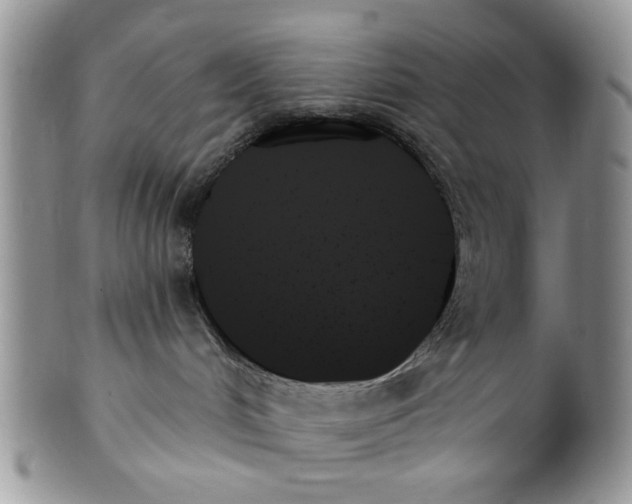 X0000099950048200806131457