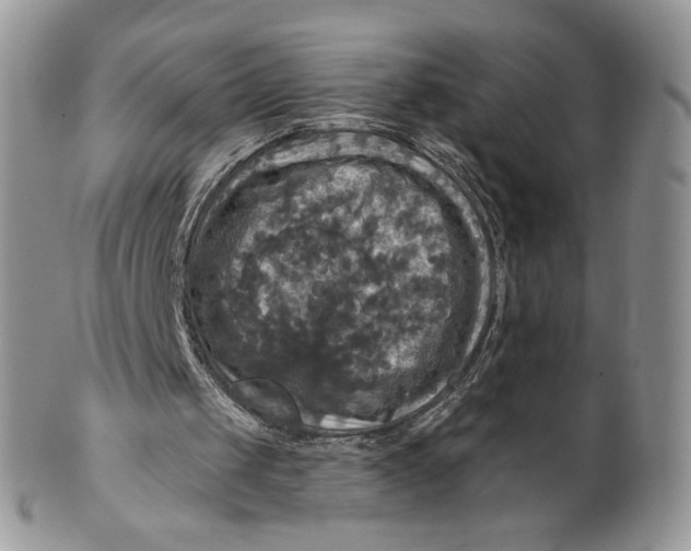 X0000099950049200806131456
