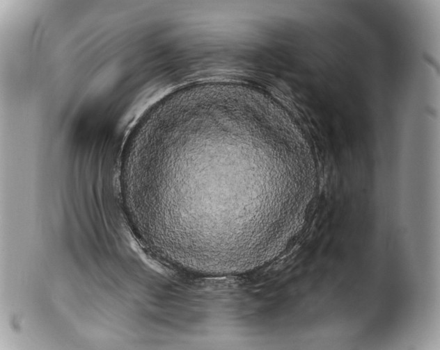 X0000099950050200806131456
