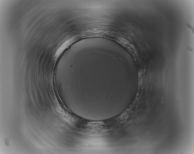 X0000099950051200806131456