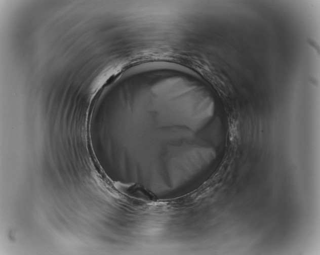 X0000099950052200806131456