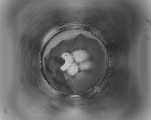 X0000099950053200806131456