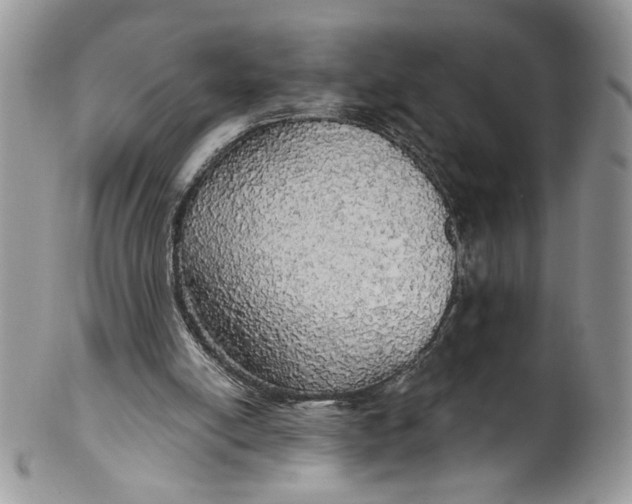 X0000099950054200806131456