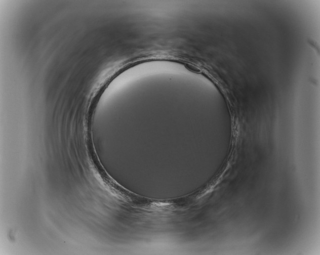 X0000099950055200806131456