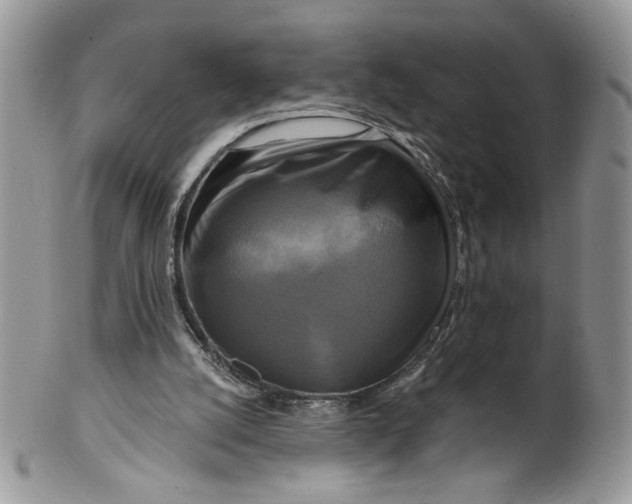 X0000099950056200806131456