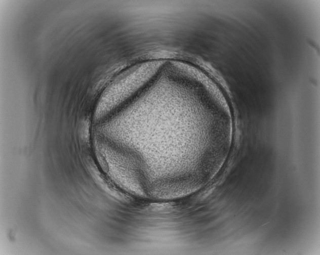 X0000099950057200806131456