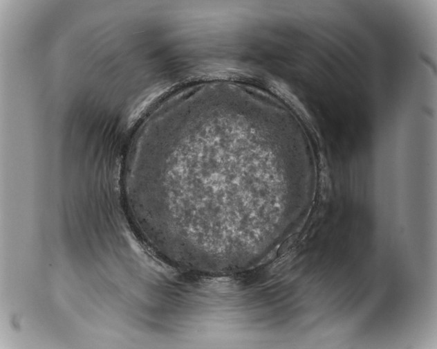X0000099950058200806131456
