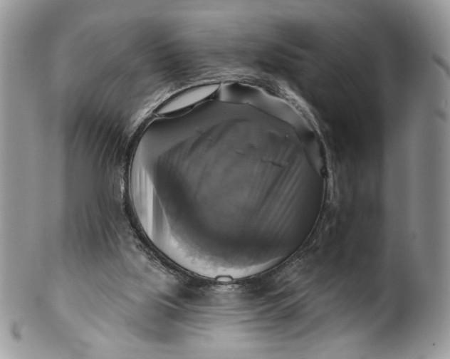 X0000099950059200806131456