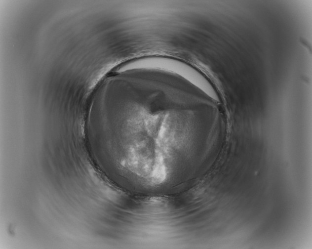 X0000099950060200806131456
