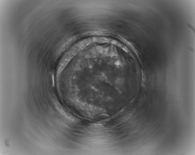 X0000099950061200806131456