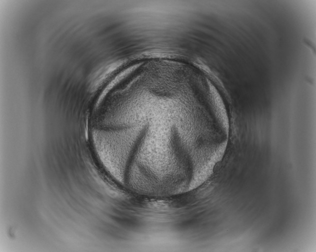 X0000099950062200806131456