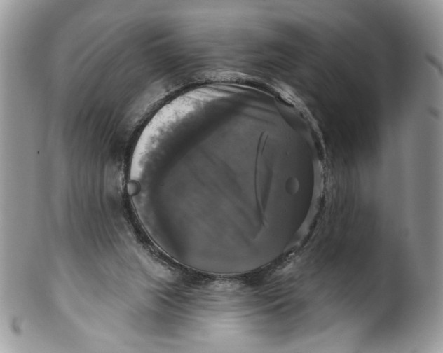 X0000099950063200806131456