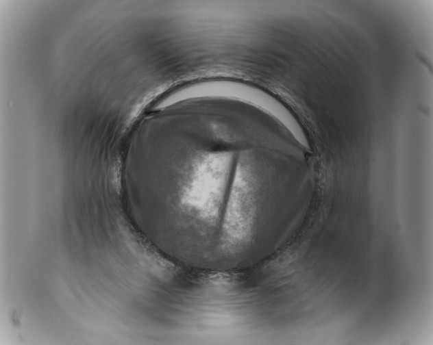 X0000099950064200806131457