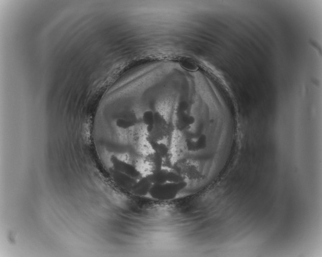 X0000099950065200806131457