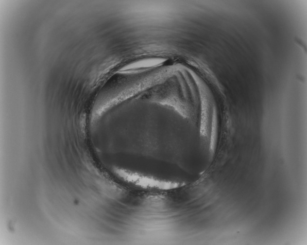 X0000099950066200806131457