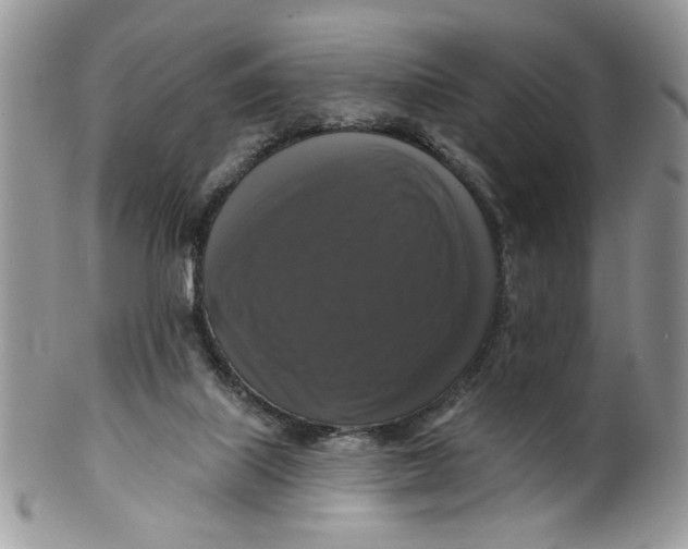 X0000099950067200806131457