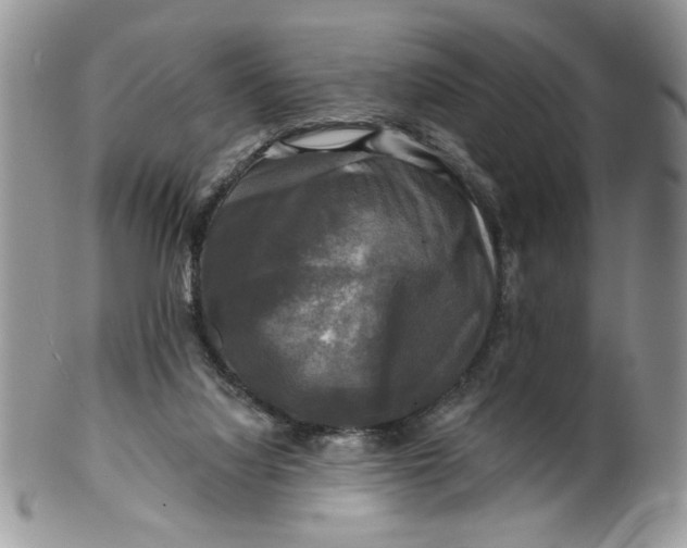 X0000099950068200806131457