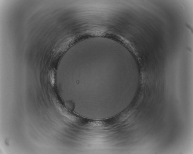 X0000099950069200806131457
