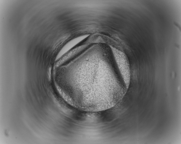 X0000099950070200806131457