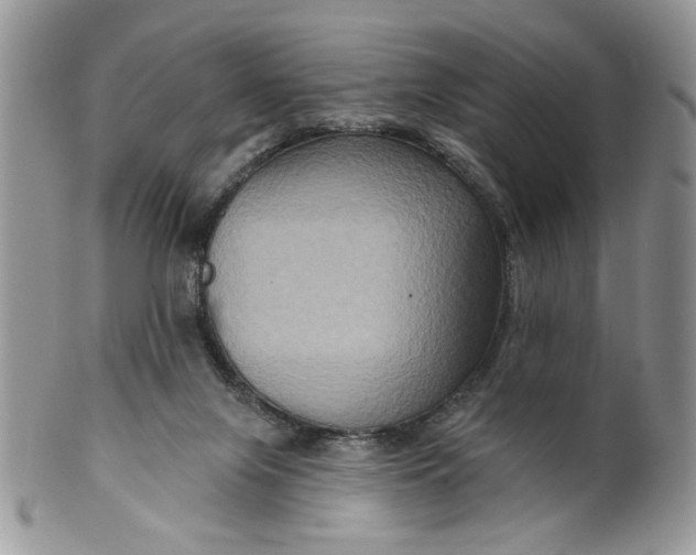 X0000099950071200806131457