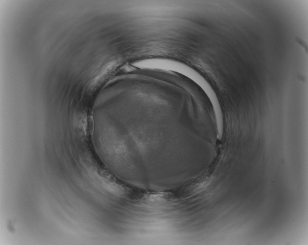 X0000099950072200806131457