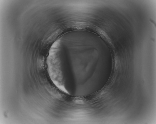 X0000099950073200806131457
