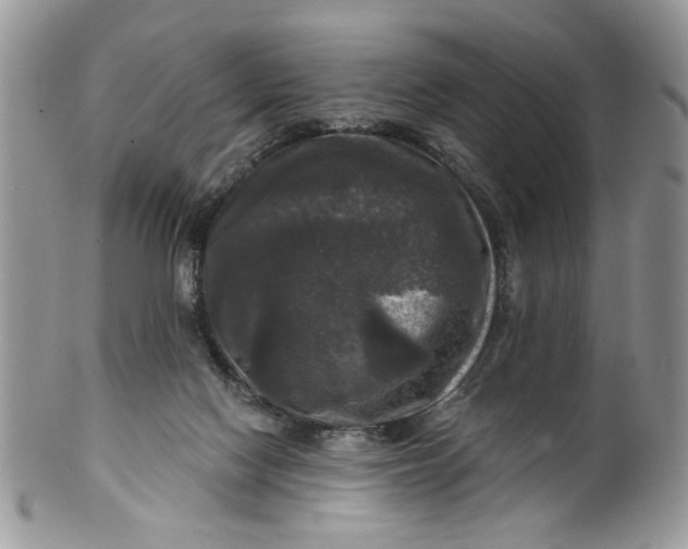 X0000099950074200806131457