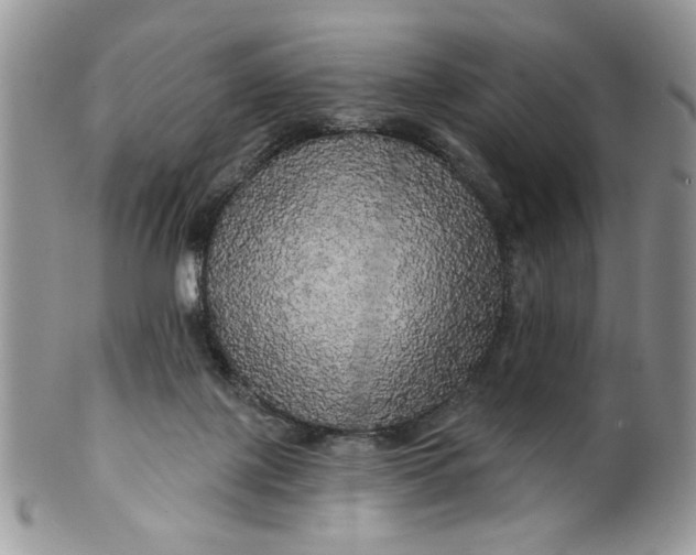 X0000099950075200806131457