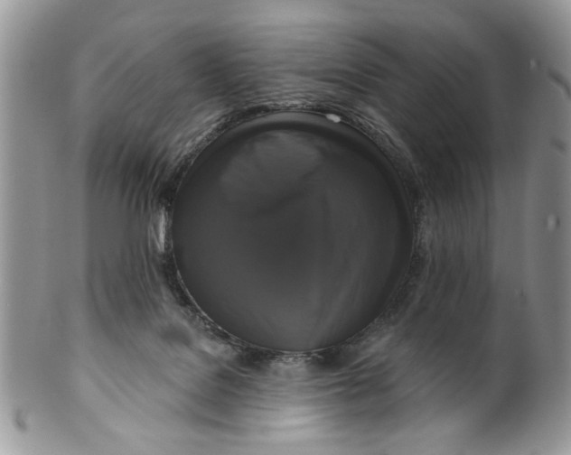 X0000099950076200806131457