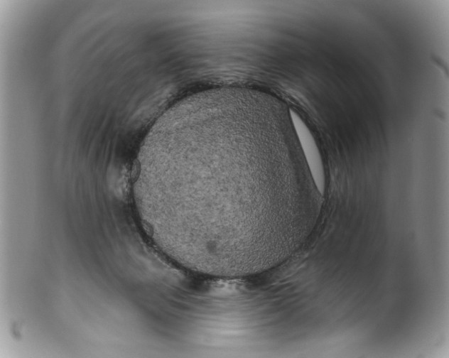 X0000099950077200806131457