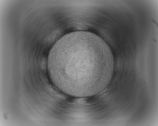 X0000099950078200806131457