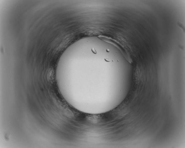 X0000099950079200806131457