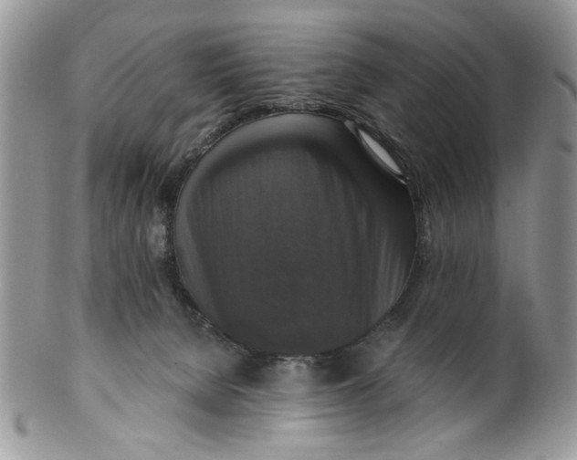 X0000099950080200806131457