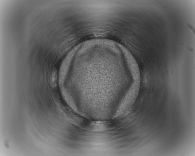 X0000099950082200806131457
