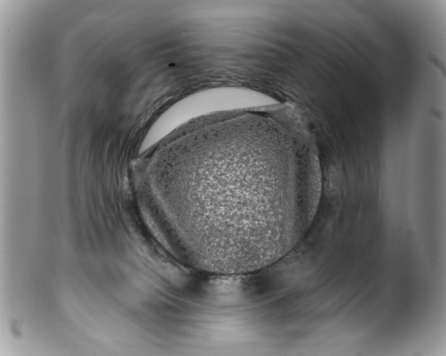 X0000099950084200806131457