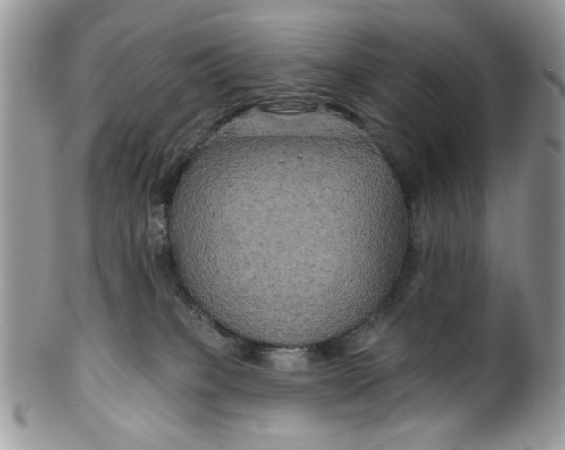 X0000099950085200806131457