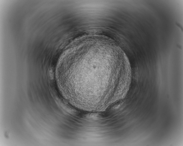 X0000099950086200806131457