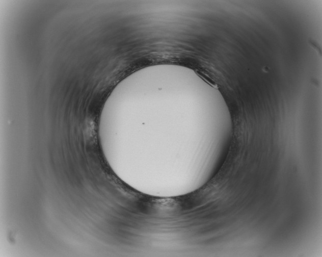 X0000099950087200806131457