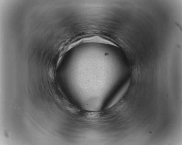 X0000099950088200806131457