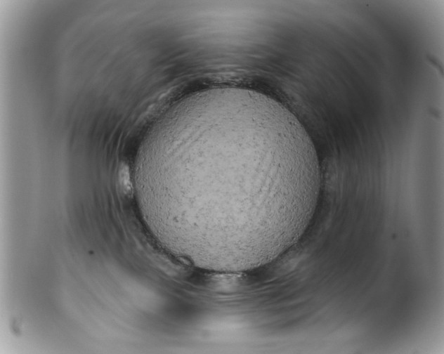 X0000099950089200806131457