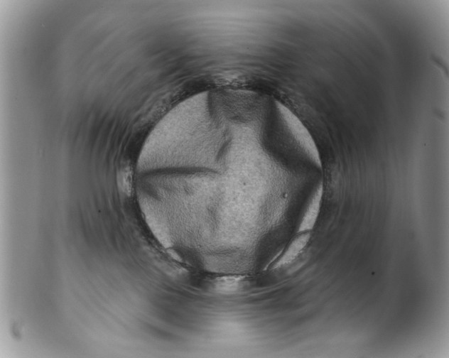 X0000099950090200806131457
