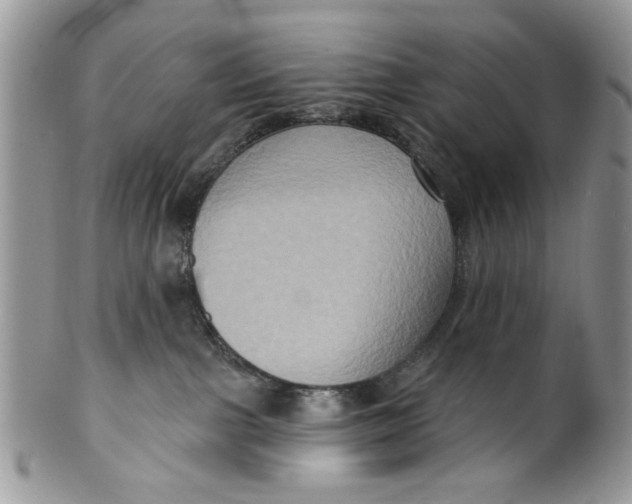 X0000099950091200806131457