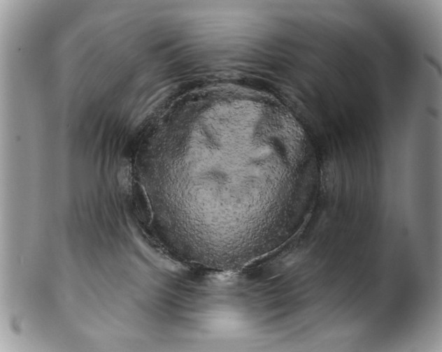 X0000099950092200806131457