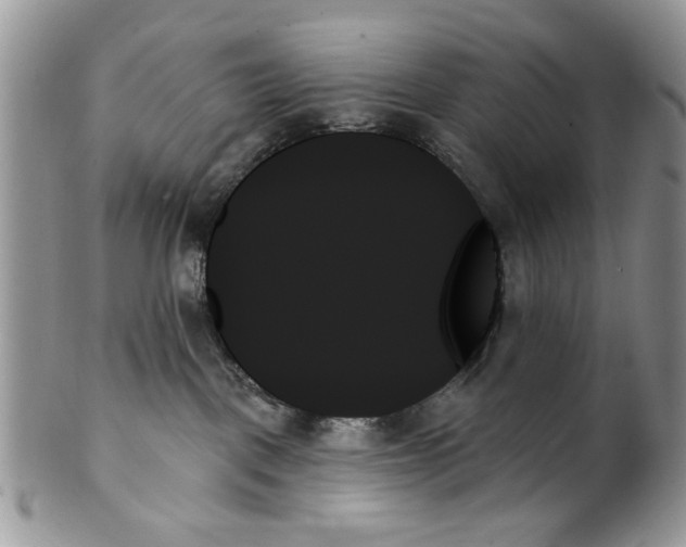 X0000099950093200806131457