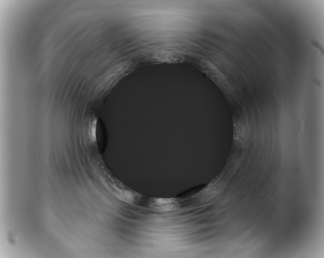 X0000099950095200806131457
