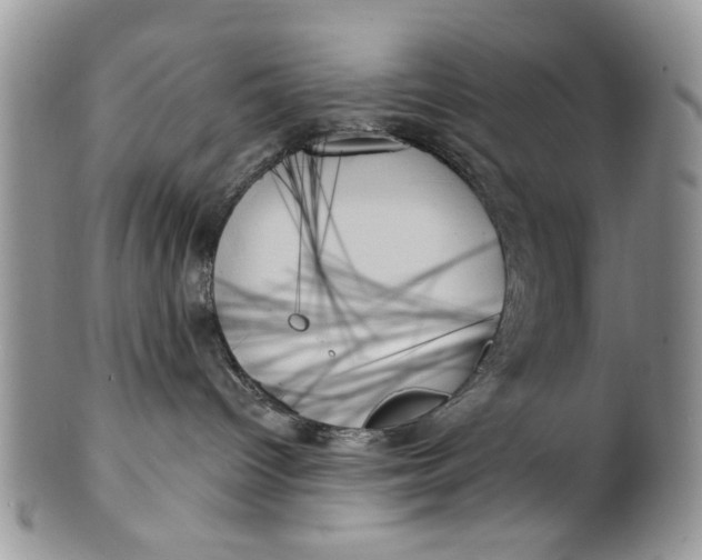 X0000099950096200806131457