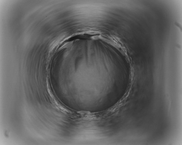 X0000099950097200806131456