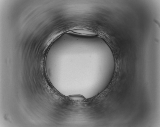 X0000099950098200806131456