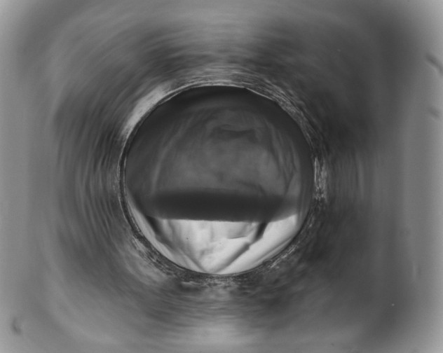 X0000099950099200806131456
